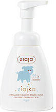 Ziaja Gel De Duș 250ml Ziaja Gel De Duș 250ml
