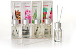 Silver Perfume Sticks Pvc Box 12 Perfumes 3x3x12cm 10ml