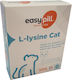 EasyPill L-Lysine Λιχουδιά για Ενίσχυση Ανοσοποιητικού 60gr