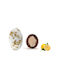 Zaxaropolis My Choco Lemon Bronze Splash 1kg ≈230pcs