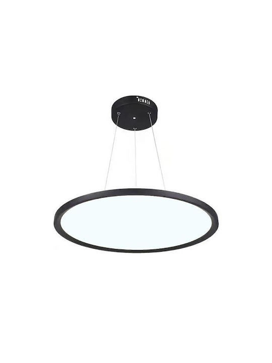 Eurolamp Pendant Light LED Black