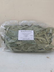 HealthTrade Eucalyptus 500gr