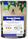 Ingagi Coffee Espresso Kaffee Arabica Nicaragua Bohnen 250gr