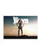 Poster Queen Maeve The Boys 90x61cm