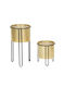Set of 2 pieces of Metal Boxes Gold color Black paint Ø 23x35-20x28 H