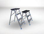 Pankoskal Ladder Aluminum with 4 Steps