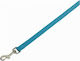 Nobby Dog Leash/Lead Strap Classic in Light Blu...
