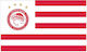 Flagge von Olympiakos Polyester 200x120cm