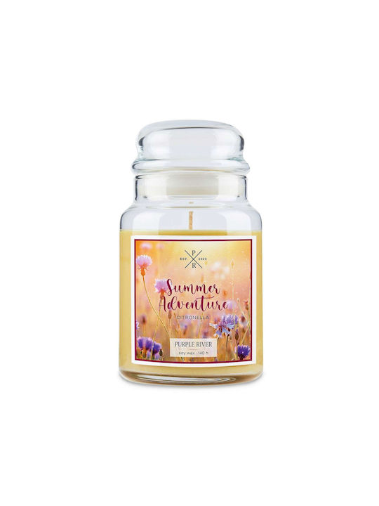 Purple River Αρωματικό Κερί Σόγιας σε Βάζο 623gr