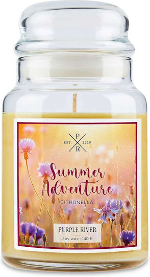 Purple River Aromatisches Soja Kerze in Gefäß 623g