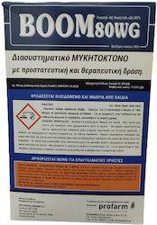 Profarm Boom 80 WG Μυκητοκτόνο σε Κόκκους 2.5kg Profarm Boom 80 WG Μυκητοκτόνο σε Κόκκους 2.5kg