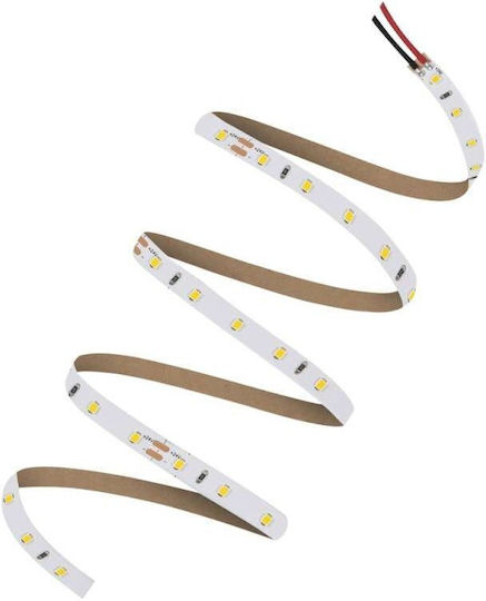 Led Tape Ls V 500 830 5 24w 3000k 4058075707795 Ledvance 4058075707795