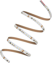 Led-Band Led Ls P 2000 965 5 78w 6500k 40580757...