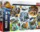 Jurassic World Following the Dinosaurs Puzzle 2D 1000 Piese 10727
