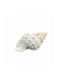 Art et Lumiere Decorative Seashell made of Stone 22x14x10cm 1pcs