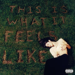 This Is What It Feels Like Vinyl This Is What It Feels Like Vinyl