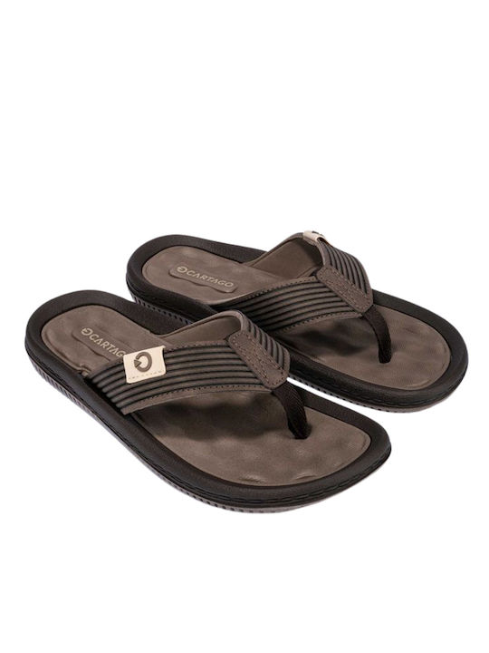 Cartago Men's Flip Flops Brown