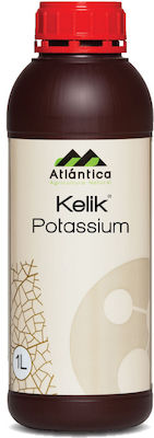 Atlantica Blattkalium Kelik Kalium 1L