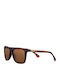 Zippo Unisex Sunglasses with Brown Tartaruga Plastic Frame and Brown Lens OB223-4