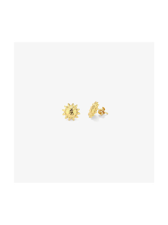 Radiant Earrings made of Steel Gold Plated