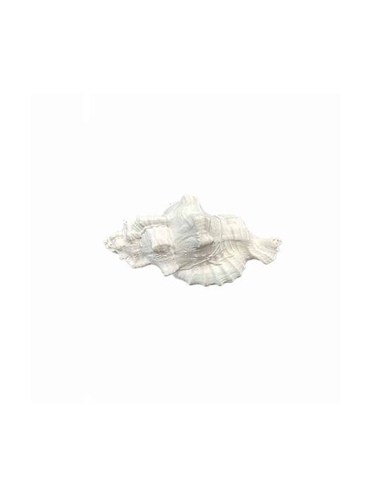 Art et Lumiere Decorative Seashell made of Ston...