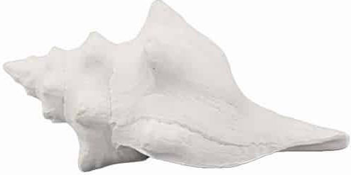 Art et Lumiere Decorative Seashell 14x8.5x7cm 1pcs
