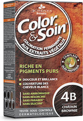 3Chenes 4B Chocolate Brown 3Chenes 4B Chocolate Brown