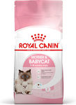 Royal Canin Mother / Babycat Суха Котешка Храна 4кг