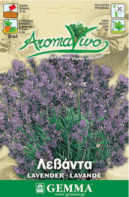 Gemma Seeds Lavenderς