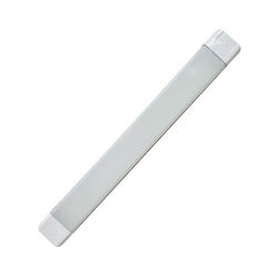 Eurolamp 5532