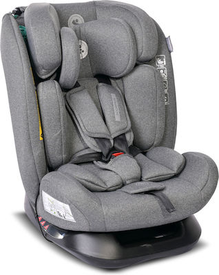 Lorelli Scorpius Baby Car Seat i-Size Gray 0-36 kg 2406