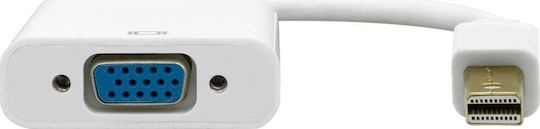 ProXtend Μετατροπέας mini DisplayPort / VGA male σε mini DisplayPort / VGA female Λευκό 1τμχ MDP-VGAP-0002W