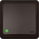 Elektro Plast Wall Switch Lighting One-Way with Frame Brown