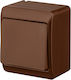 Elektro Plast Waterproof Wall Switch Lighting with Frame Brown
