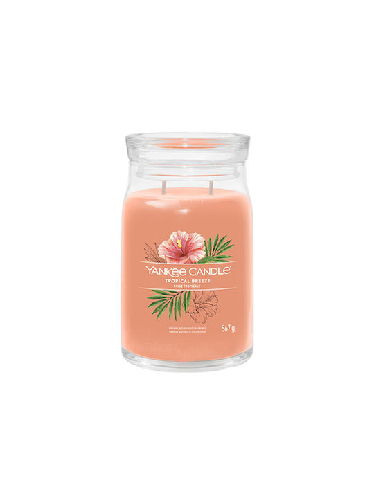 Yankee Candle Decorative Candle Tropical Breeze Signature 368gr 1pcs