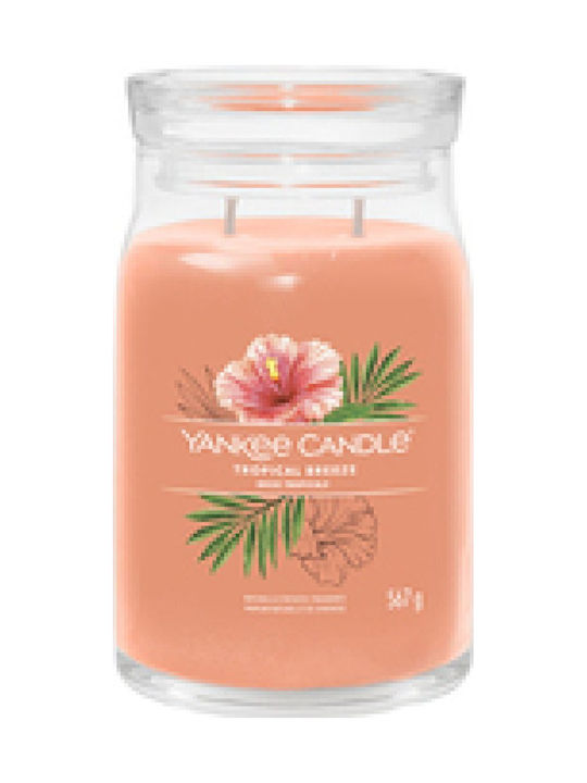 Yankee Candle Αρωματικό Κερί Tropical Breeze Si...