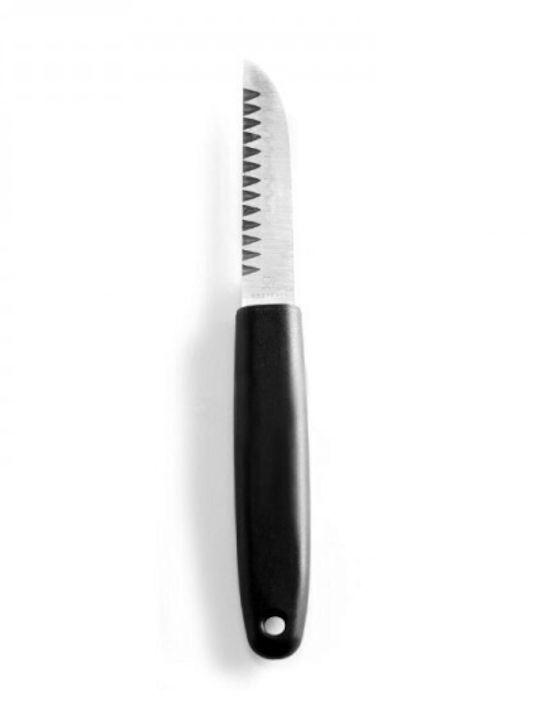 Hendi Messer Peeling aus rostfreiem Stahl 20cm