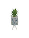 Sukkulente Pflanze in Topf Hellblau 26cm Uncle George
