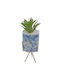 Sukkulente Pflanze in Topf 26cm 05.02.04-0003-Blau Uncle George