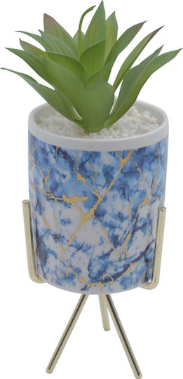 Sukkulente Pflanze in Topf 26cm 05.02.04-0003-Blau Uncle George