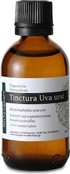 Think GAEA Βάμμα Uva Ursi 50ml Think GAEA Βάμμα Uva Ursi 50ml