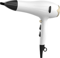 TnS Dryer TnS Dryer