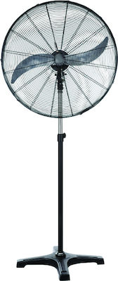 Aca FANSPPB80 Industrieller Standventilator 150W mit einem Durchmesser von 65cm