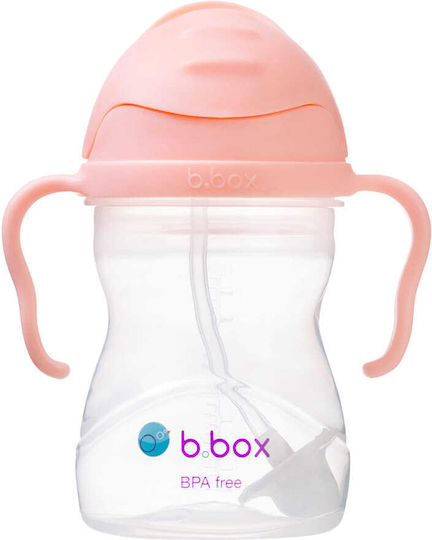 Bildungs-Cup Strohhalm Stroh 6m+ 240ml Sippy Cup Tutti Frutti B.box Bb521