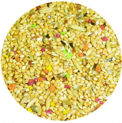 Birds Food for Budgerigars 20kg