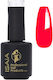 Isaia Professioneller Gel-Lack N 27 15ml Isaia Professionelle Nagelprodukte