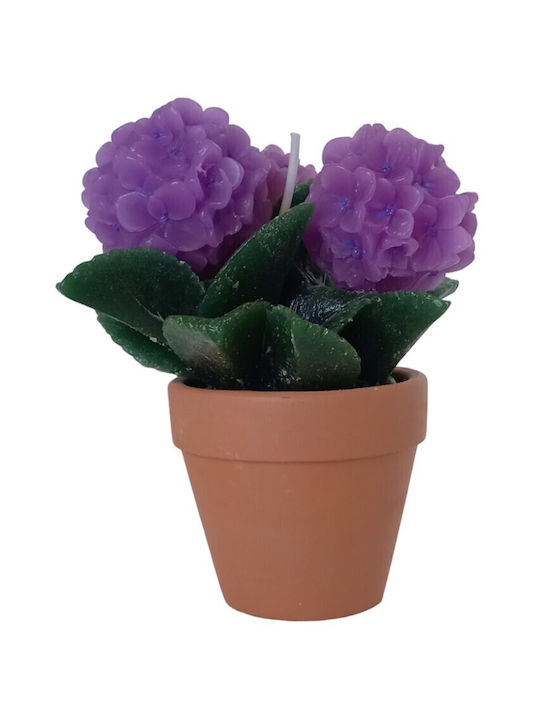 Etoile Lumânare Decorativă Ghiveci Violet 13x17cm