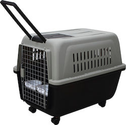 Pet Interest Ulysses