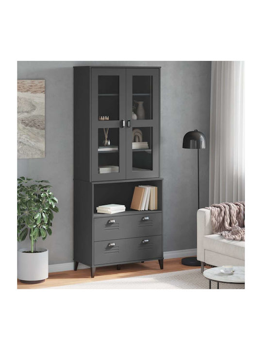 Boden Wohnzimmer-Vitrine mit Glas Charcoal Grey 80x40x200cm