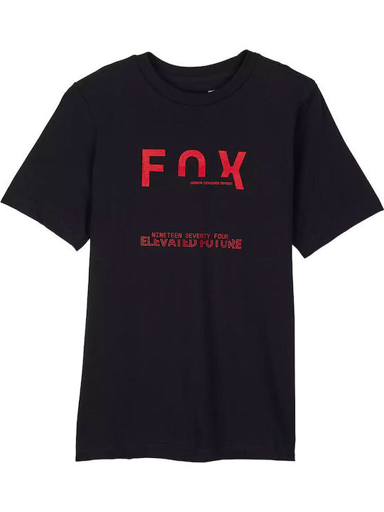 Fox Fox